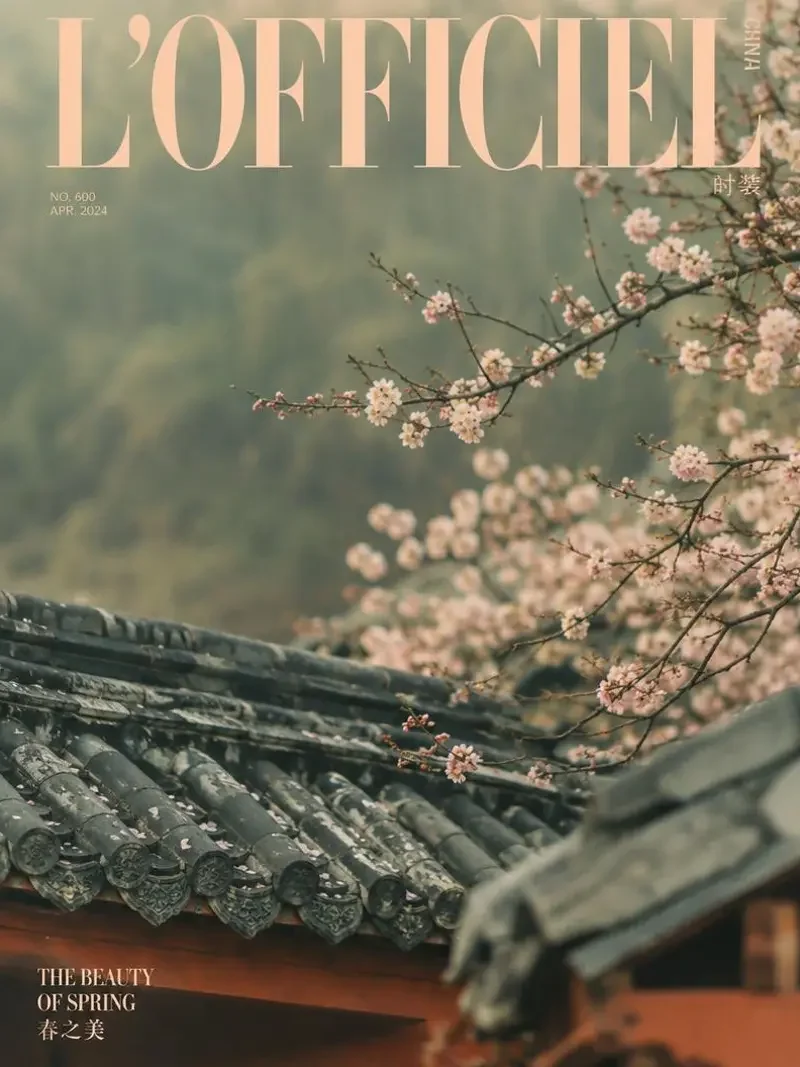 杏花露天井短剧封面